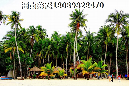 中房·东方云舒好不好怎么样？1