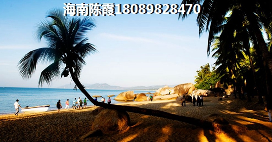 碧桂园铂悦2023房价是涨还是跌？