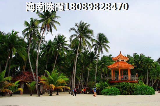 万伦城南风景